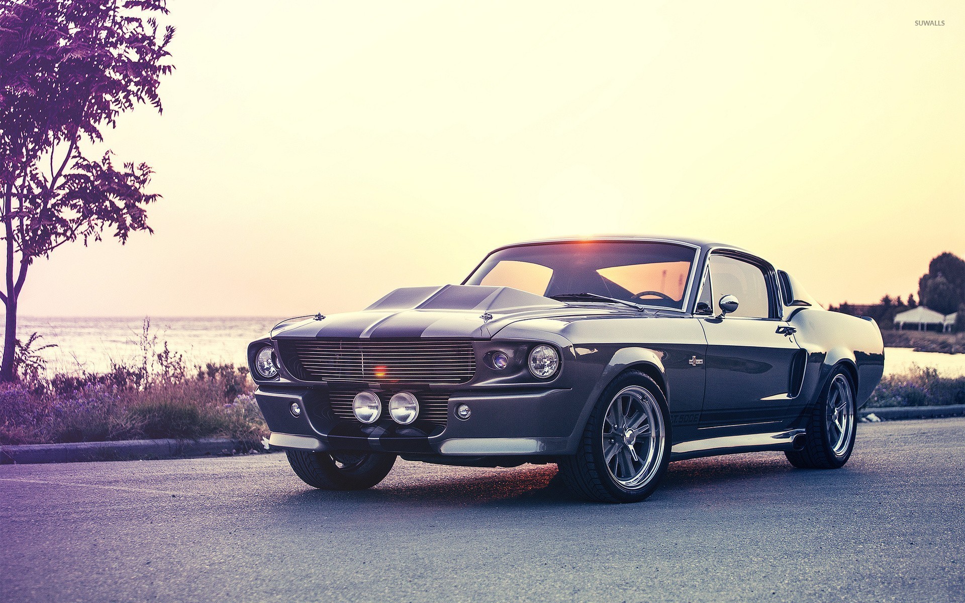 Ford Mustang Shelby GT500 Wallpapers Image Desktop Background