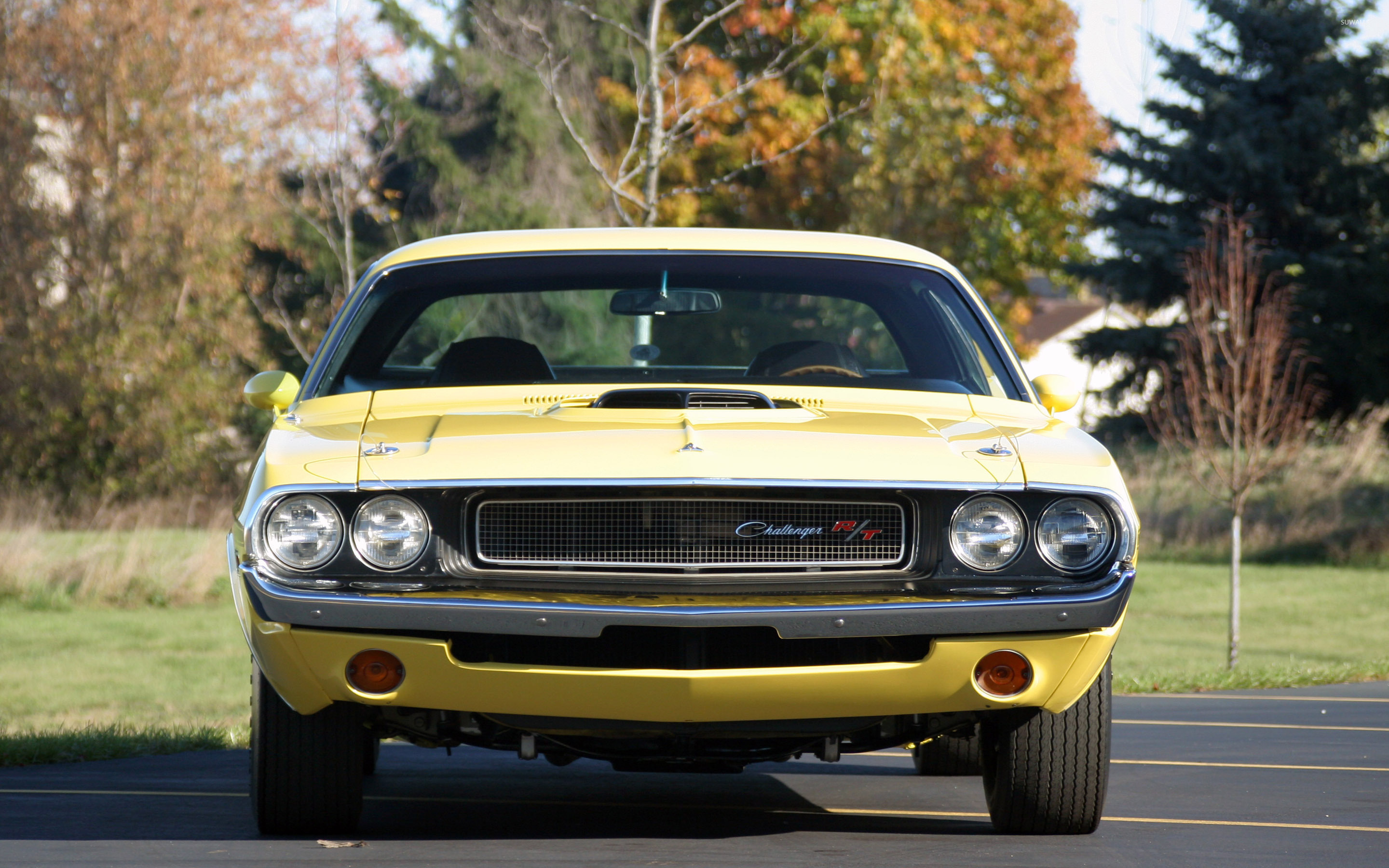 1970 Dodge Challenger Hemi RT wallpaper - Car wallpapers - #29851