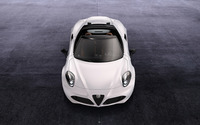 2014 Alfa Romeo 4C Spider [4] wallpaper 2560x1600 jpg