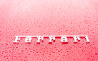 Ferrari [5] wallpaper 1920x1080 jpg