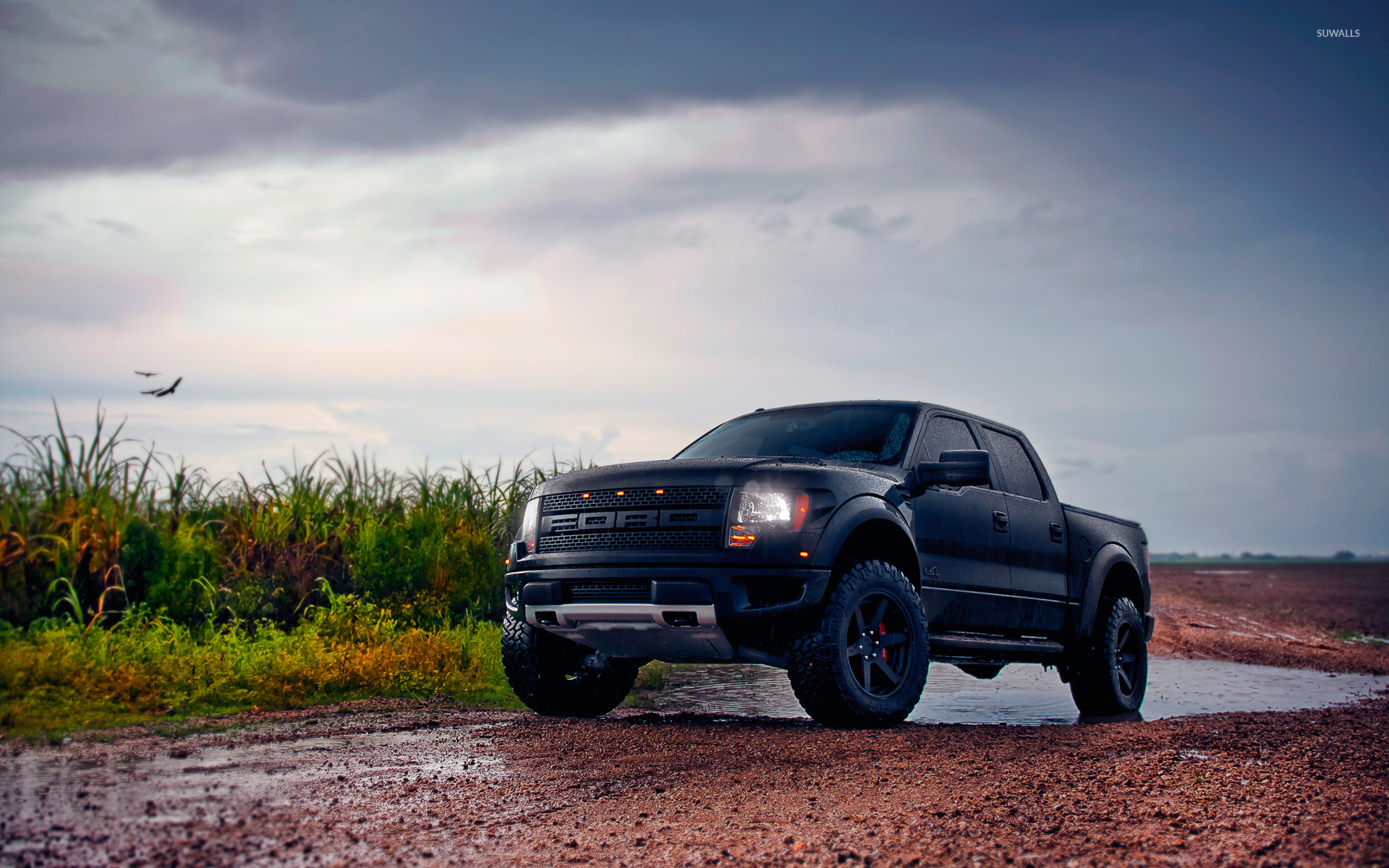 Front side view of a black Ford F-150 Raptor wallpaper ...