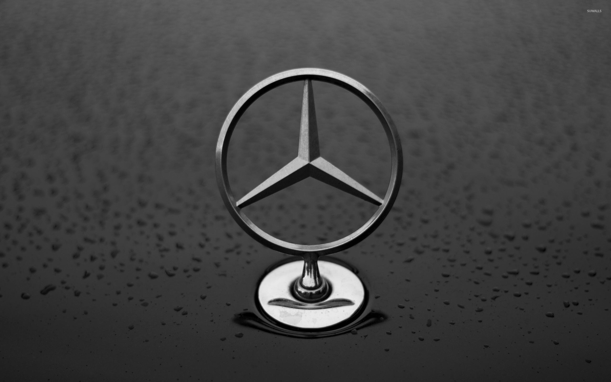 Mercedes Benz Hood Ornament Wallpaper Car Wallpapers 50902 Images, Photos, Reviews