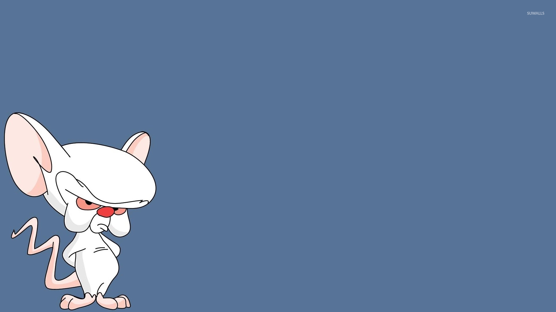 Brain from Pinky and the Brain wallpaper - Cartoon wallpapers - #51244