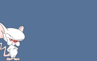 Brain from Pinky and the Brain wallpaper 1920x1080 jpg