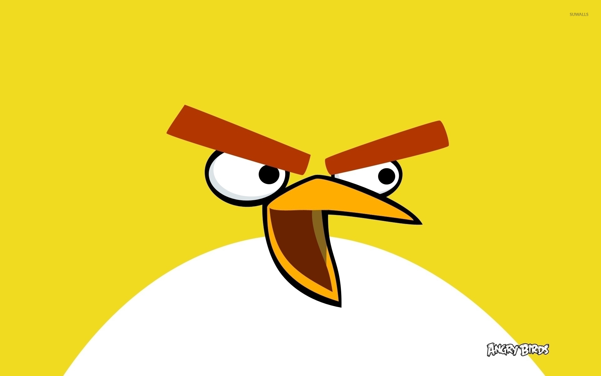 Chuck From Angry Birds Wallpaper Cartoon Wallpapers