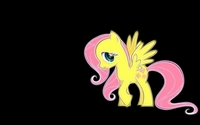 Fluttershy - My Little Pony: Friendship Is Magic wallpaper 2560x1600 jpg