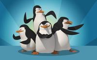 The Penguins of Madagascar [2] wallpaper 2560x1600 jpg