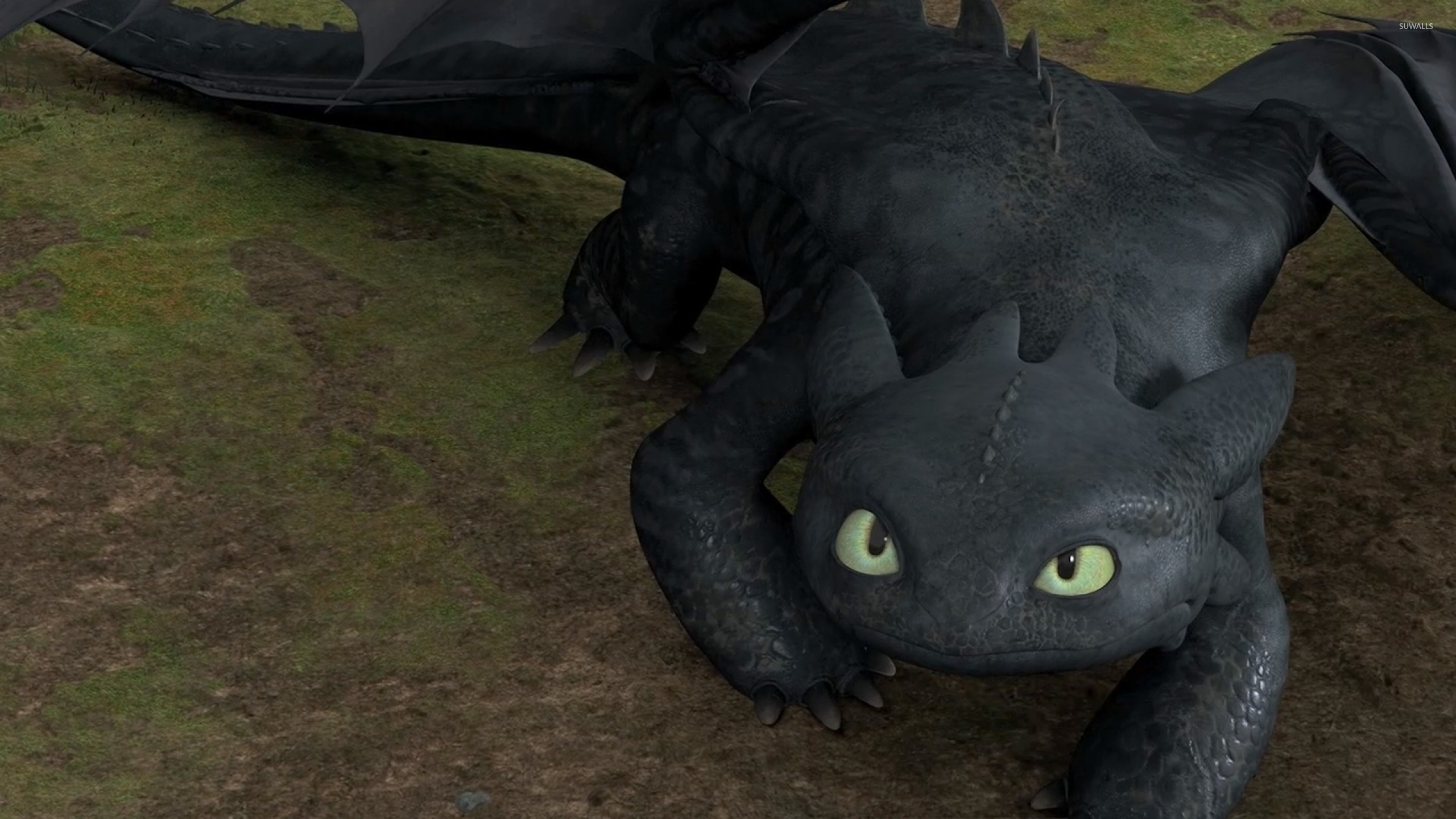 How to train your dragon toothless porn comic