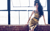 Amy Winehouse [3] wallpaper 2560x1600 jpg