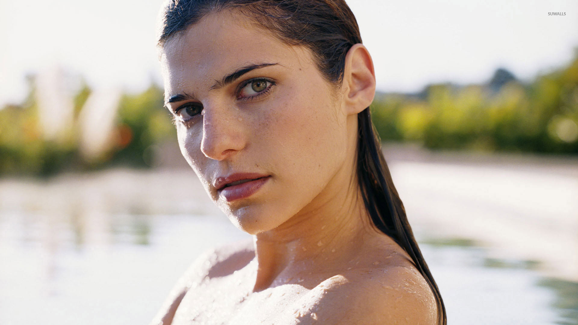 Lake Bell wallpapers. 