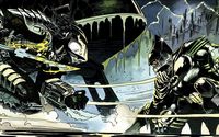 Batman versus Predator wallpaper 1920x1080 jpg