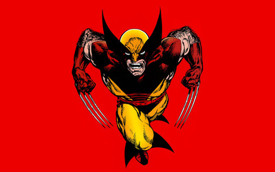 Wolverine in a fight wallpaper