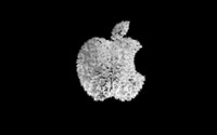 Apple [108] wallpaper 1920x1200 jpg