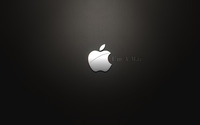 Apple [31] wallpaper 1920x1200 jpg
