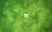 Linux Mint [8] wallpaper 2560x1600 jpg