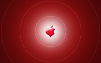 Red heart shaped Apple wallpaper 2560x1600 jpg