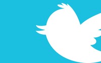 Twitter bird silhouette wallpaper 2560x1600 jpg
