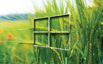 Windows 10 transparent logo on the wheat field wallpaper