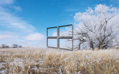 Windows 10 transparent logo over the frosty field wallpaper