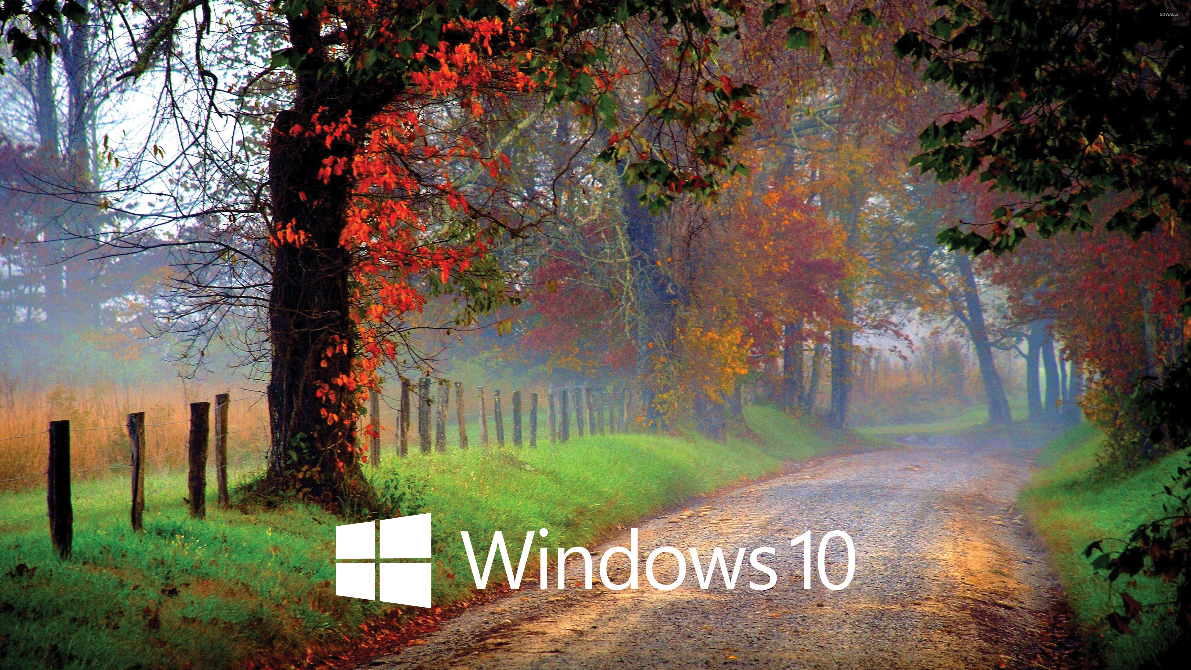 Windows 10 white text logo on the forest path wallpaper ...