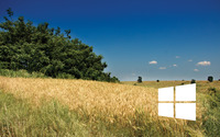 Windows 10 white simple logo on the wheat field wallpaper 2880x1800 jpg