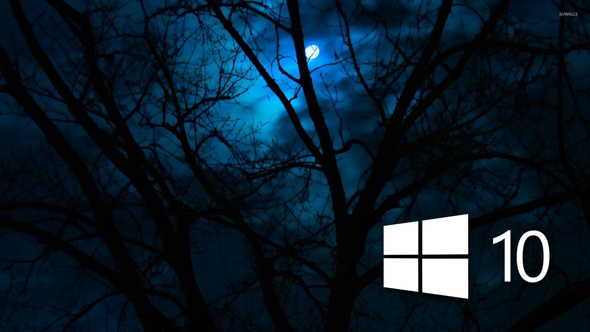 Поиск Фото Windows 10