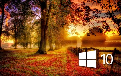 Windows 10 in the fall simple logo wallpaper