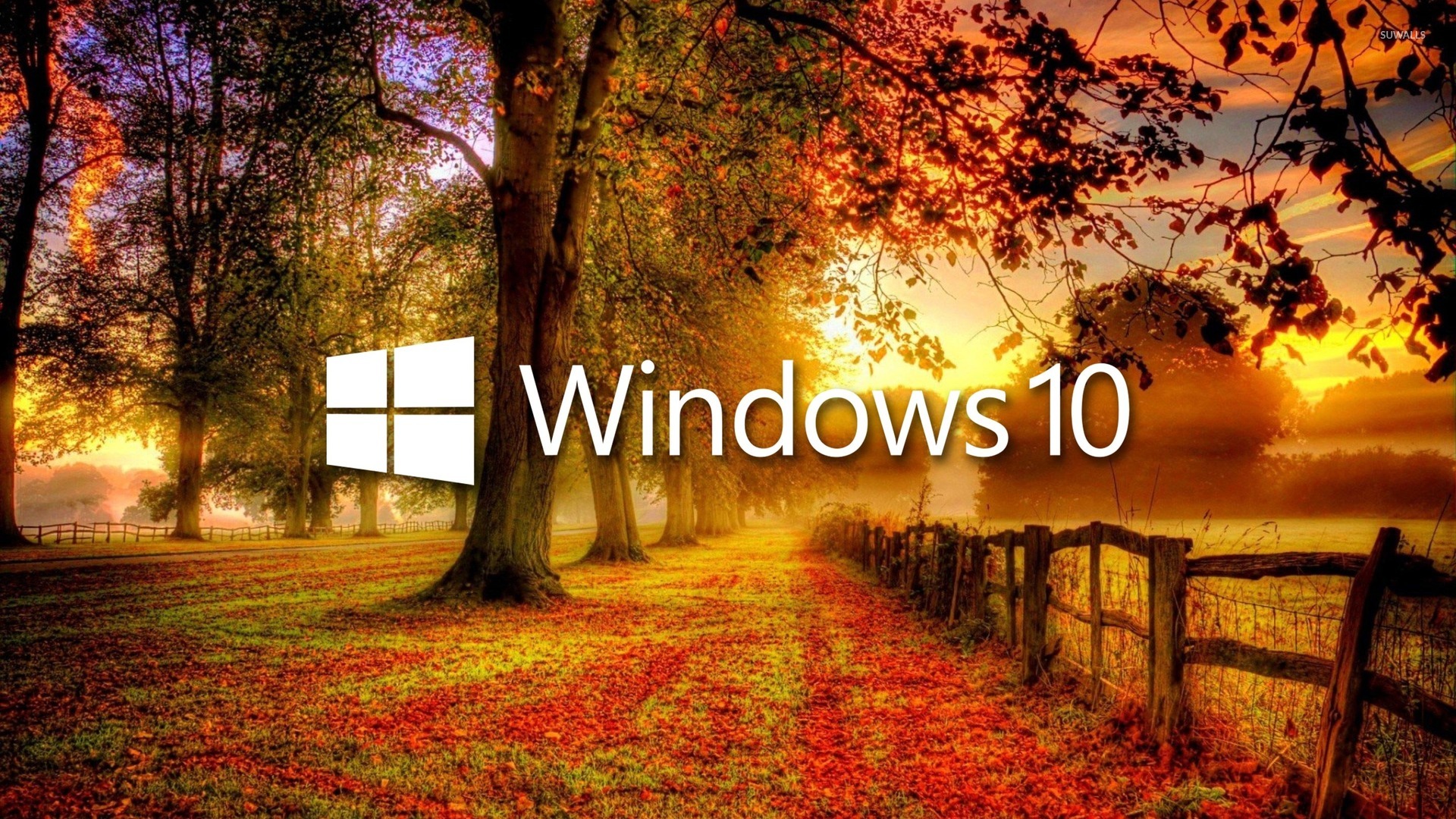 Windows 10 In The Fall White Text Logo Wallpaper Computer Wallpapers