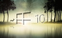 Windows 10 in the foggy forest [4] wallpaper 1920x1080 jpg