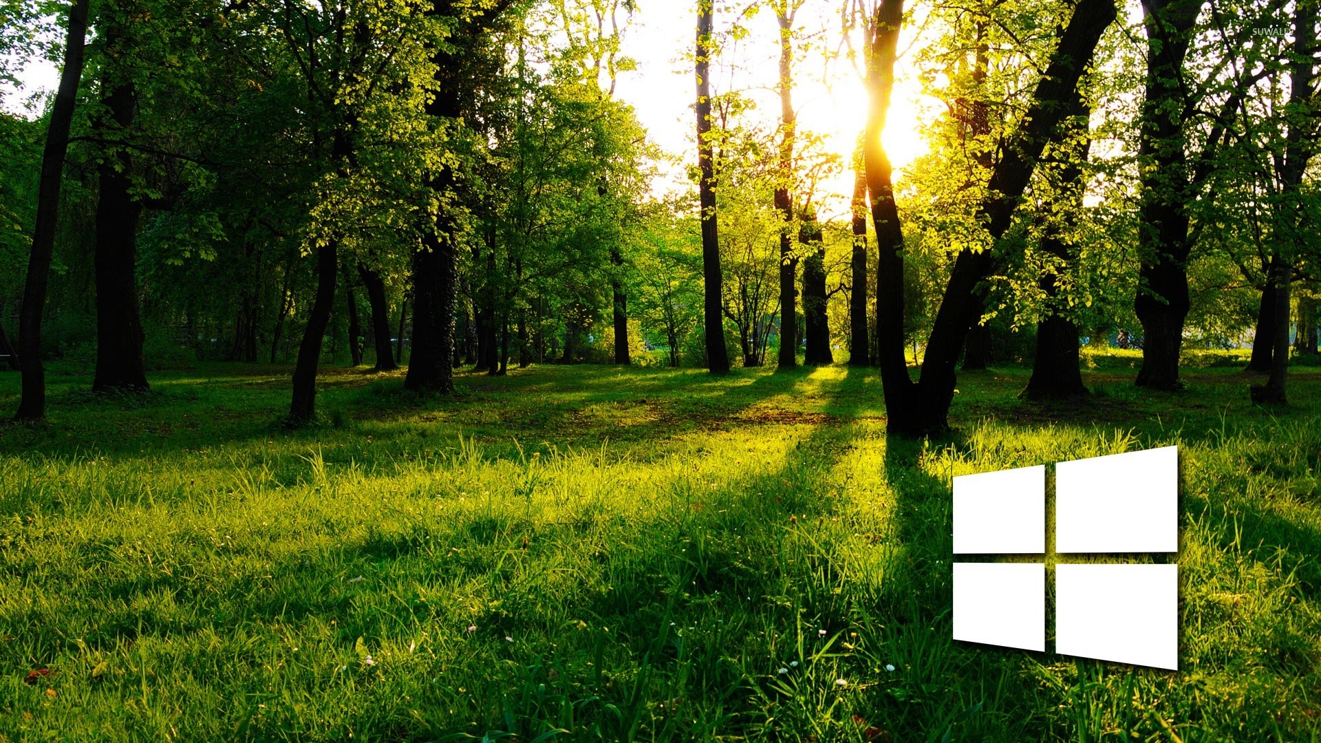 Windows 10 in the green forest simple logo wallpaper - Computer ...