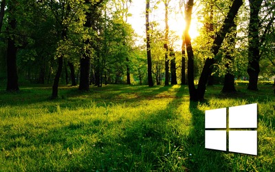 Windows 10 in the green forest simple logo wallpaper
