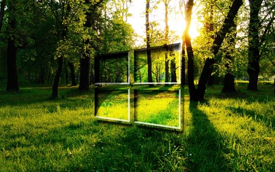 Windows 10 in the green forest glass logo wallpaper