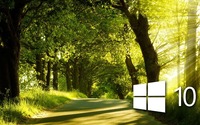 Windows 10 in the sunny forest wallpaper 1920x1080 jpg