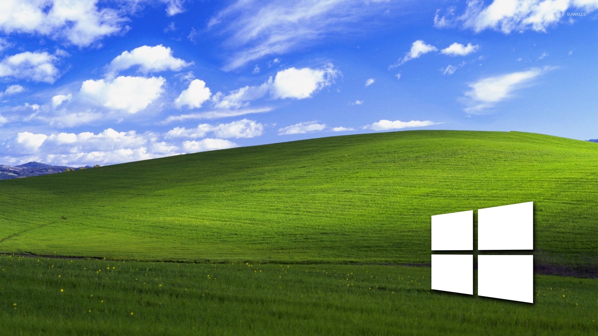 Windows Field Background