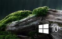 Windows 10 on a mossy log [4] wallpaper 1920x1080 jpg
