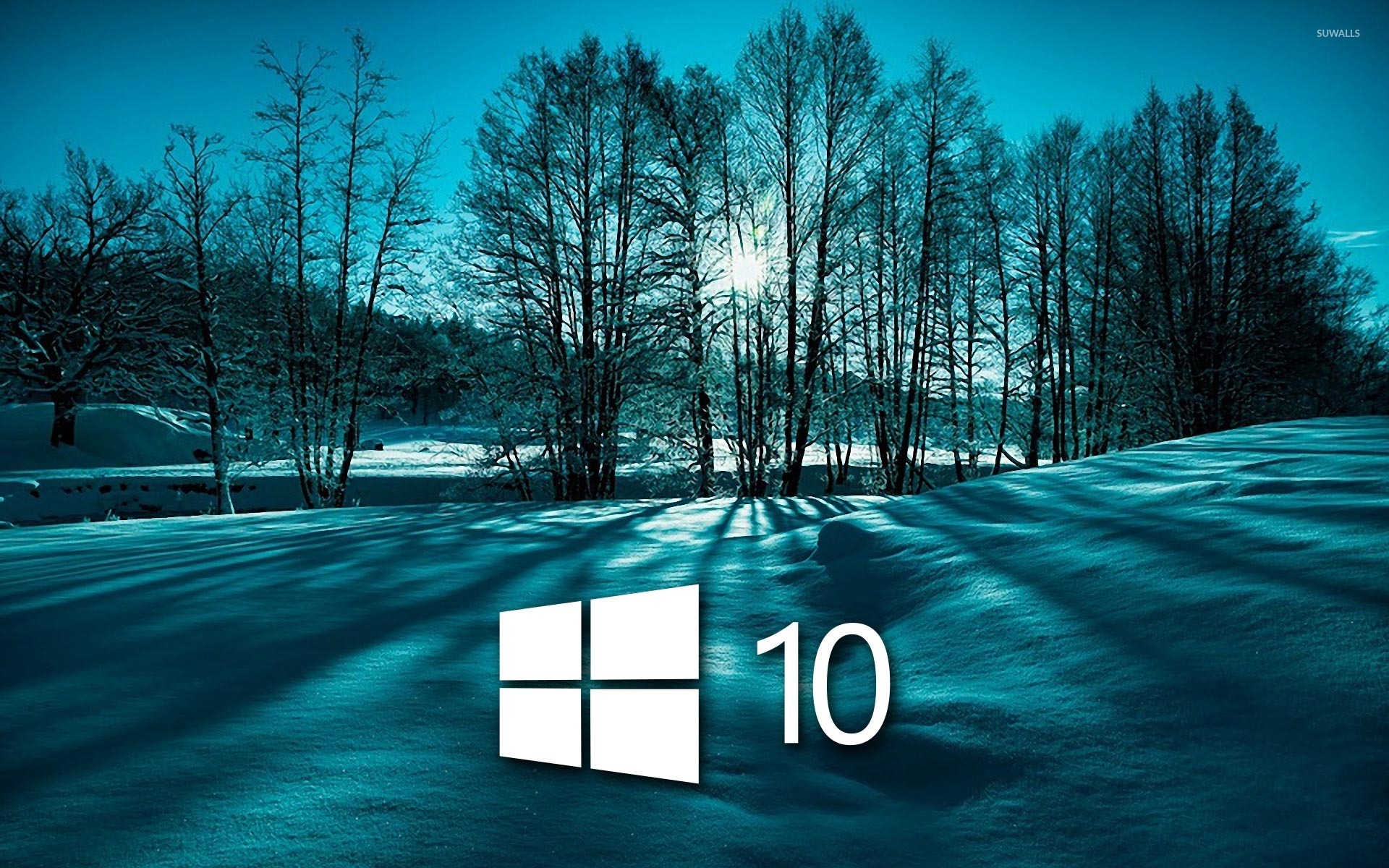 Windows 10 on snowy trees simple white logo wallpaper - Computer