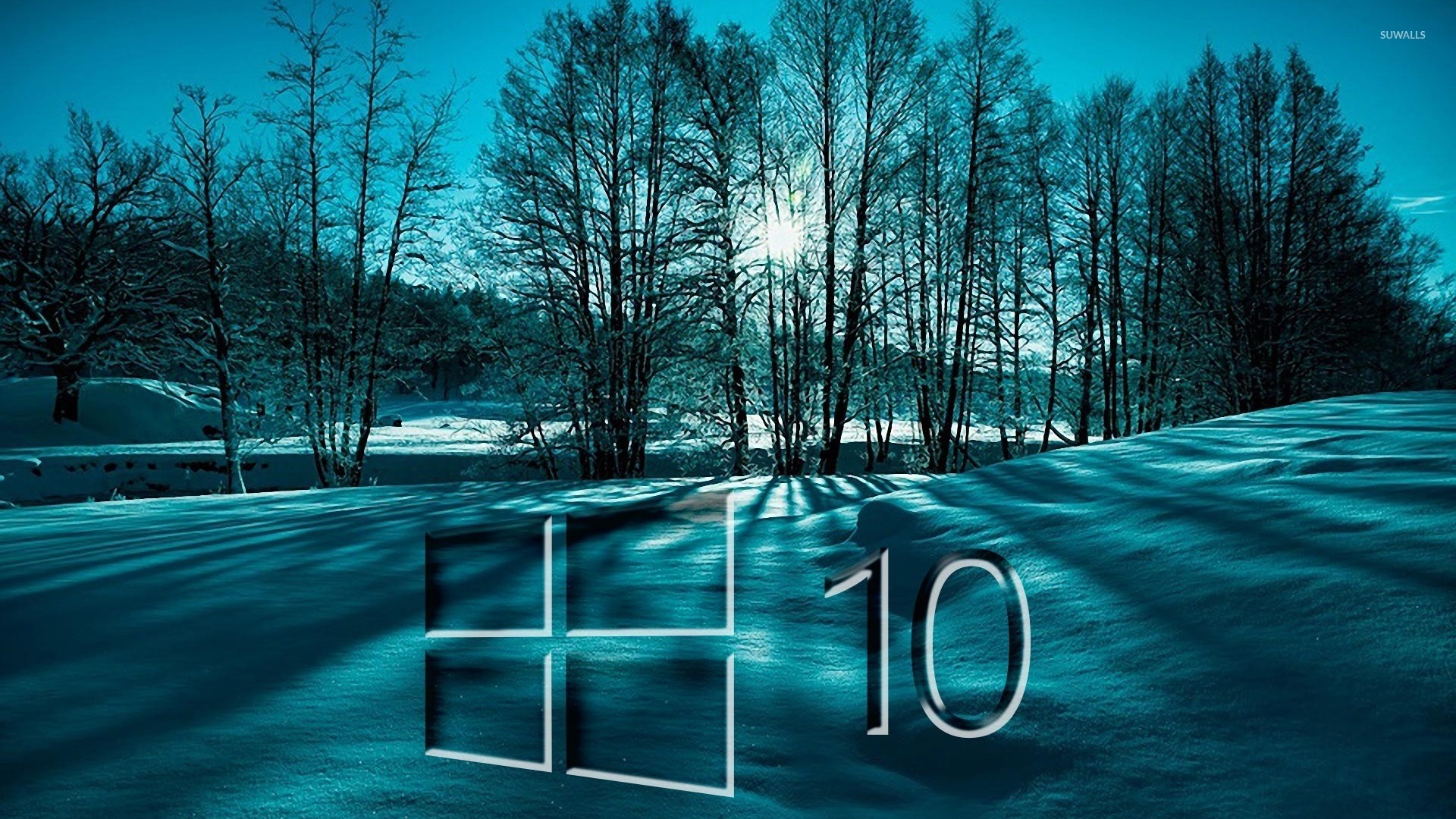 windows 10 on snowy trees glass logo wallpaper 1920x1080