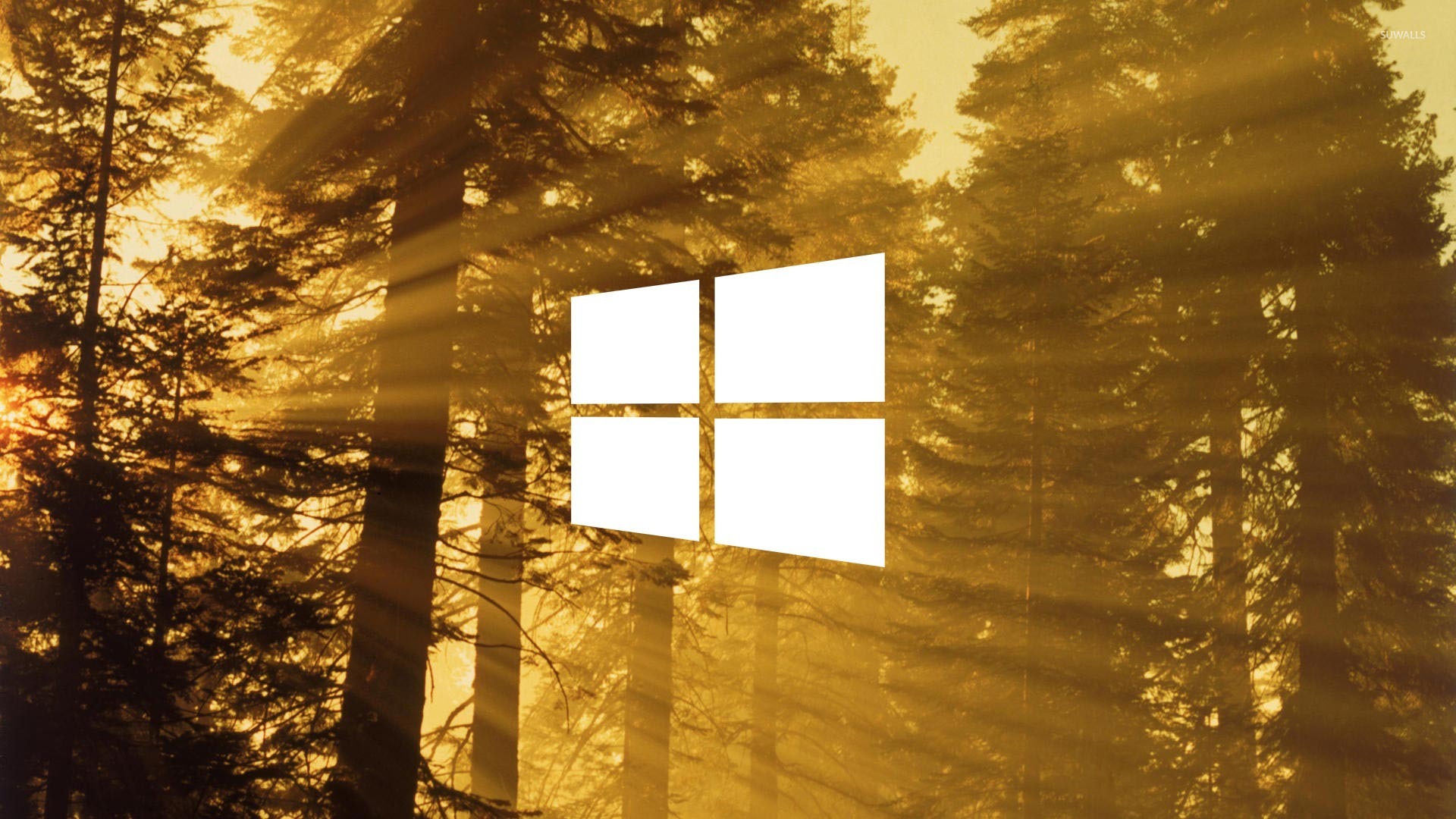 instal the new for windows Forest Fire