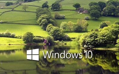 Windows 10 on the green meadow white text logo wallpaper