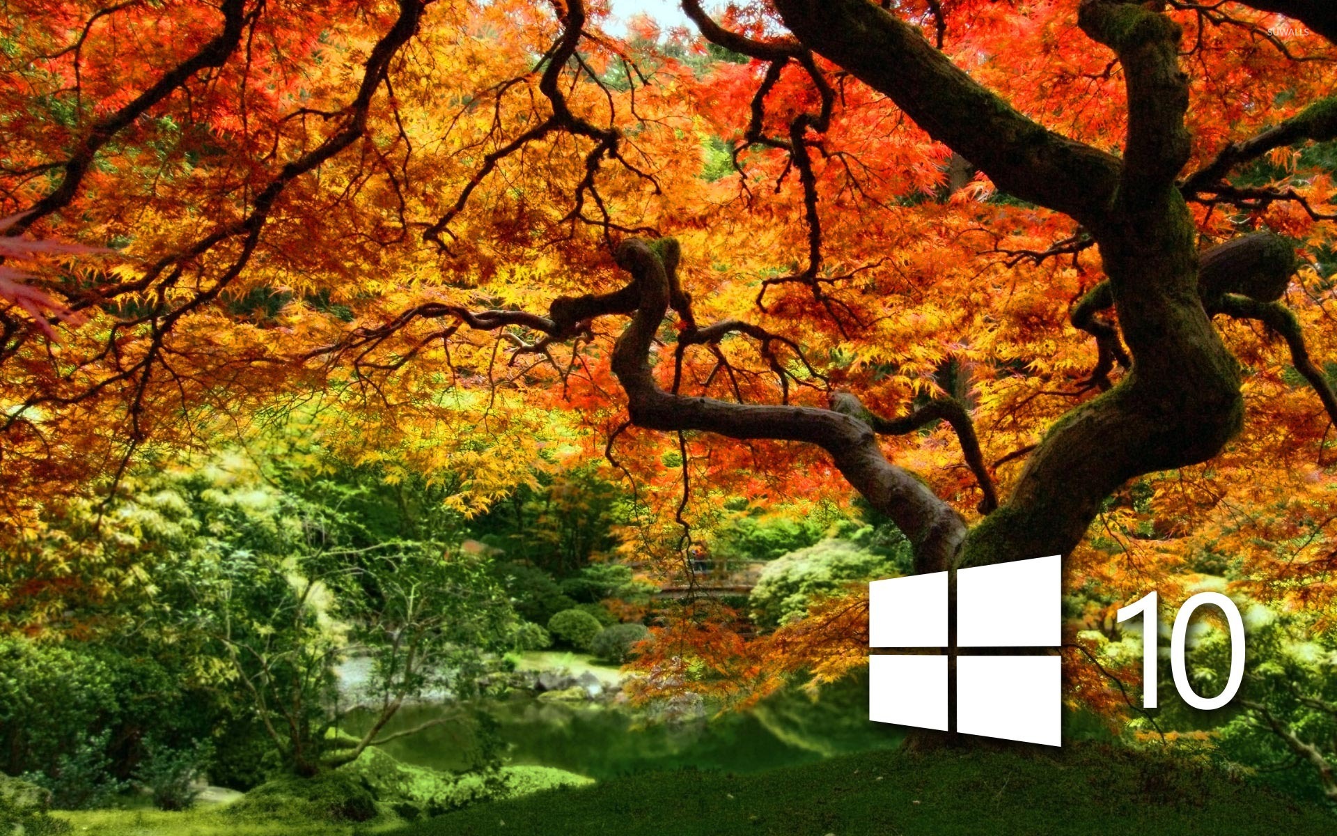  Windows  10  on the orange tree  simple logo wallpaper 