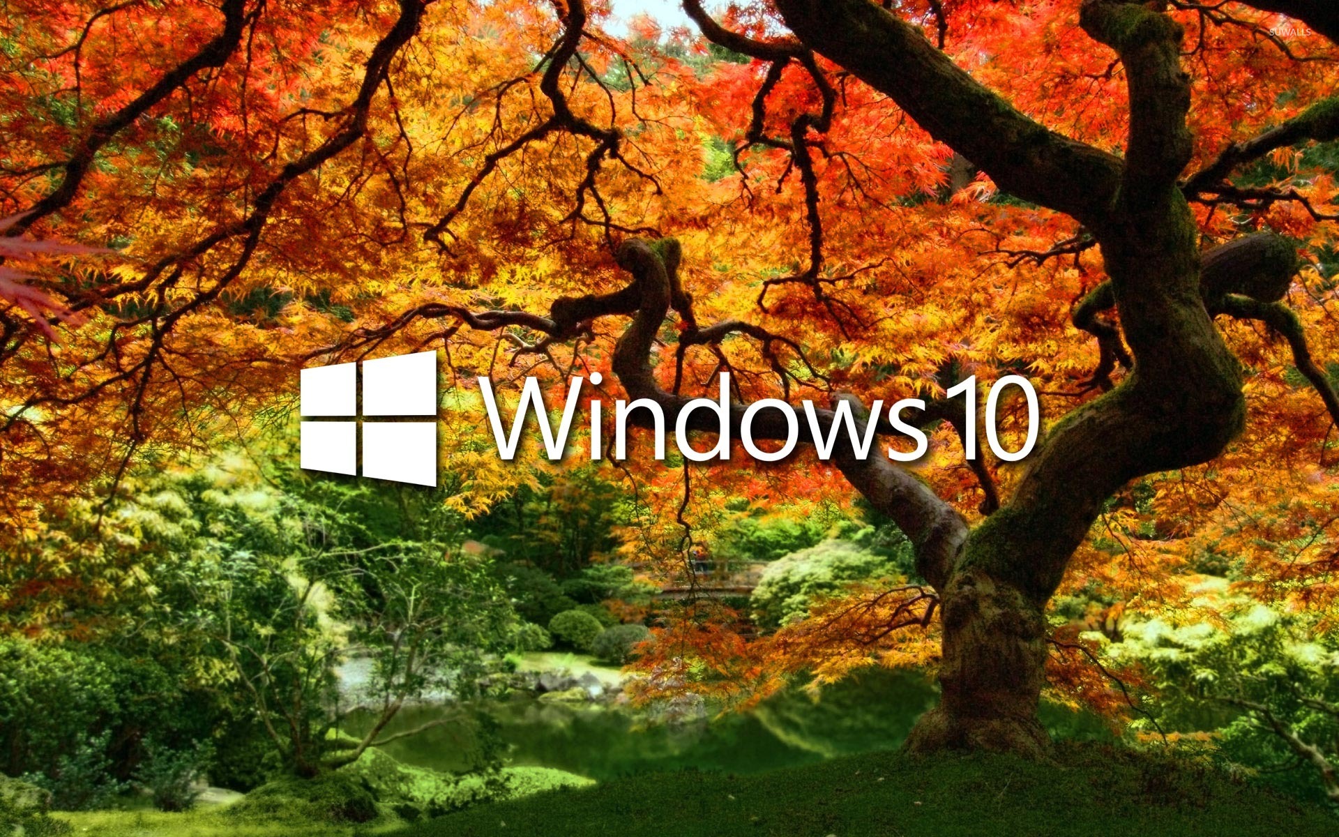 Windows 10 On The Orange Tree White Text Logo Wallpaper Computer