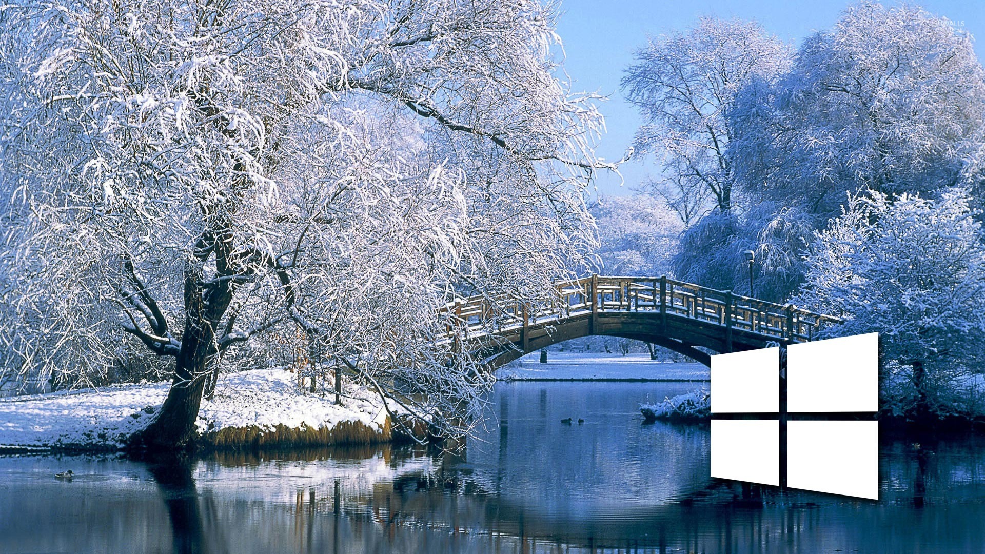 Windows 10 on the snowy lake simple white logo wallpaper 