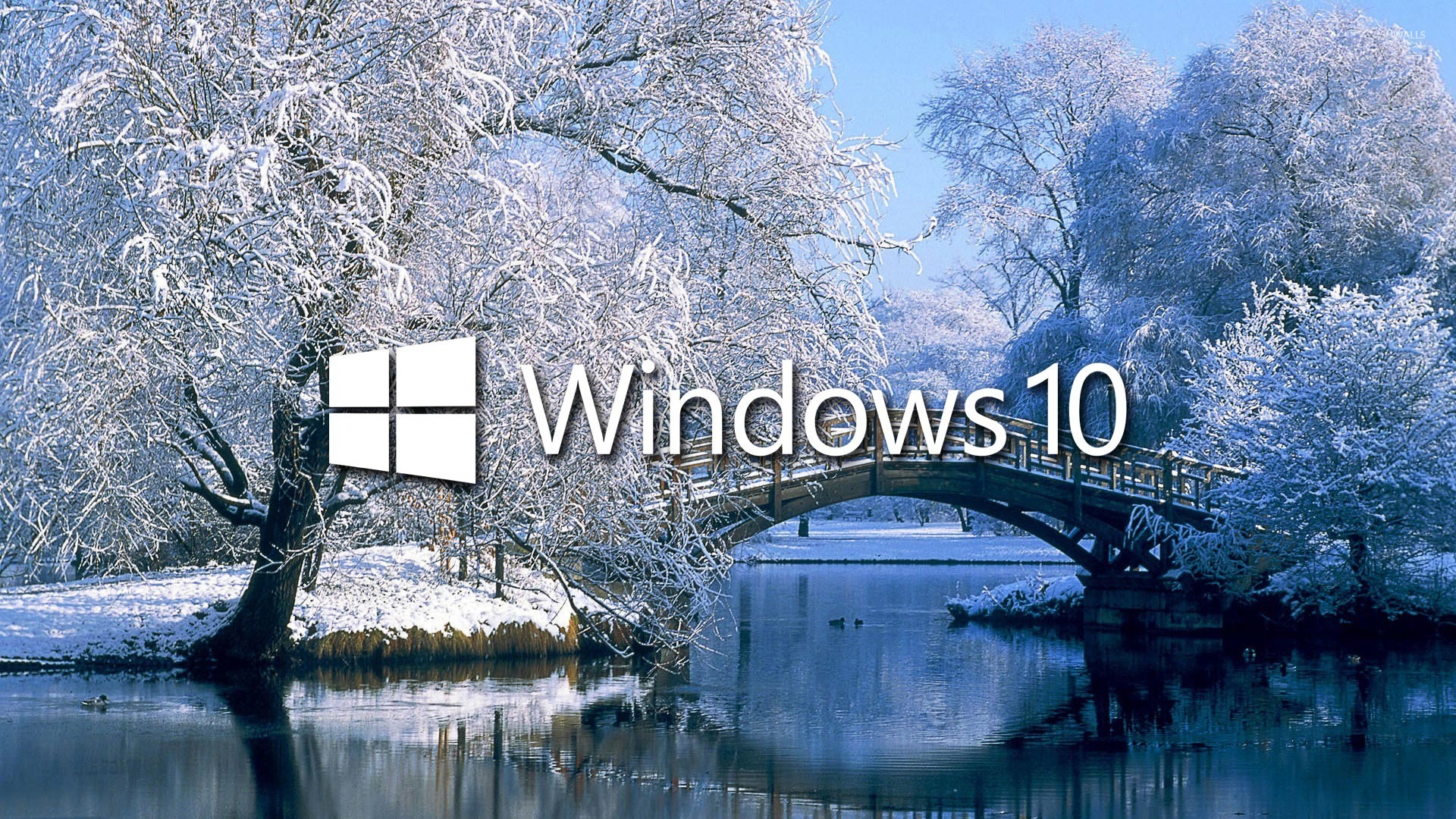 windows 10 lock screen frozen