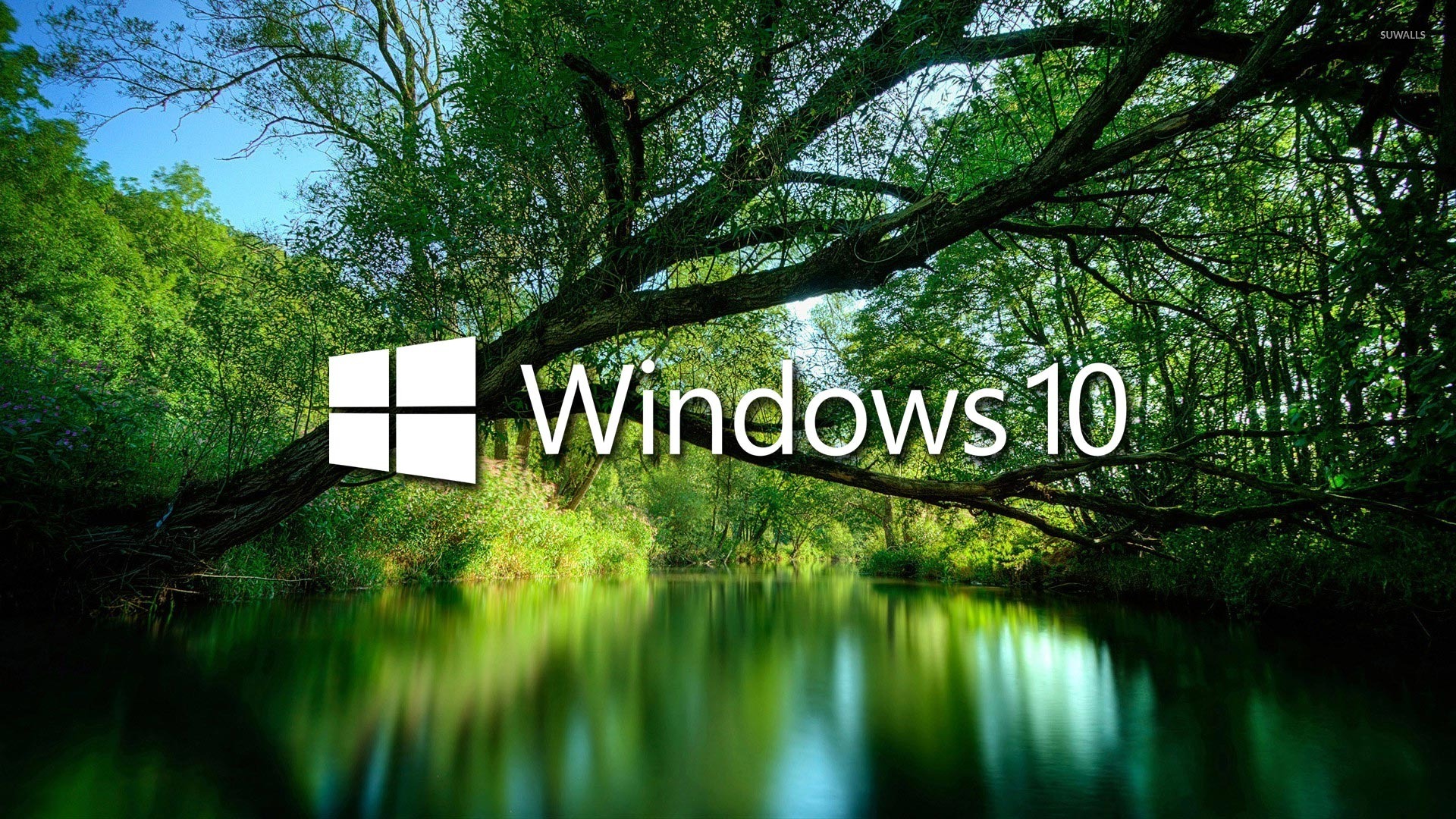 Windows 10 Over A Green Lake White Text Logo Wallpaper Computer