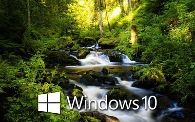 Windows 10 over the forest creek white text logo wallpaper