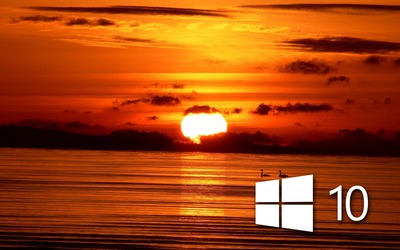 Windows 10 over the sunset simple white logo wallpaper