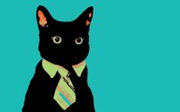 Black cat with a tie wallpaper 1920x1080 jpg