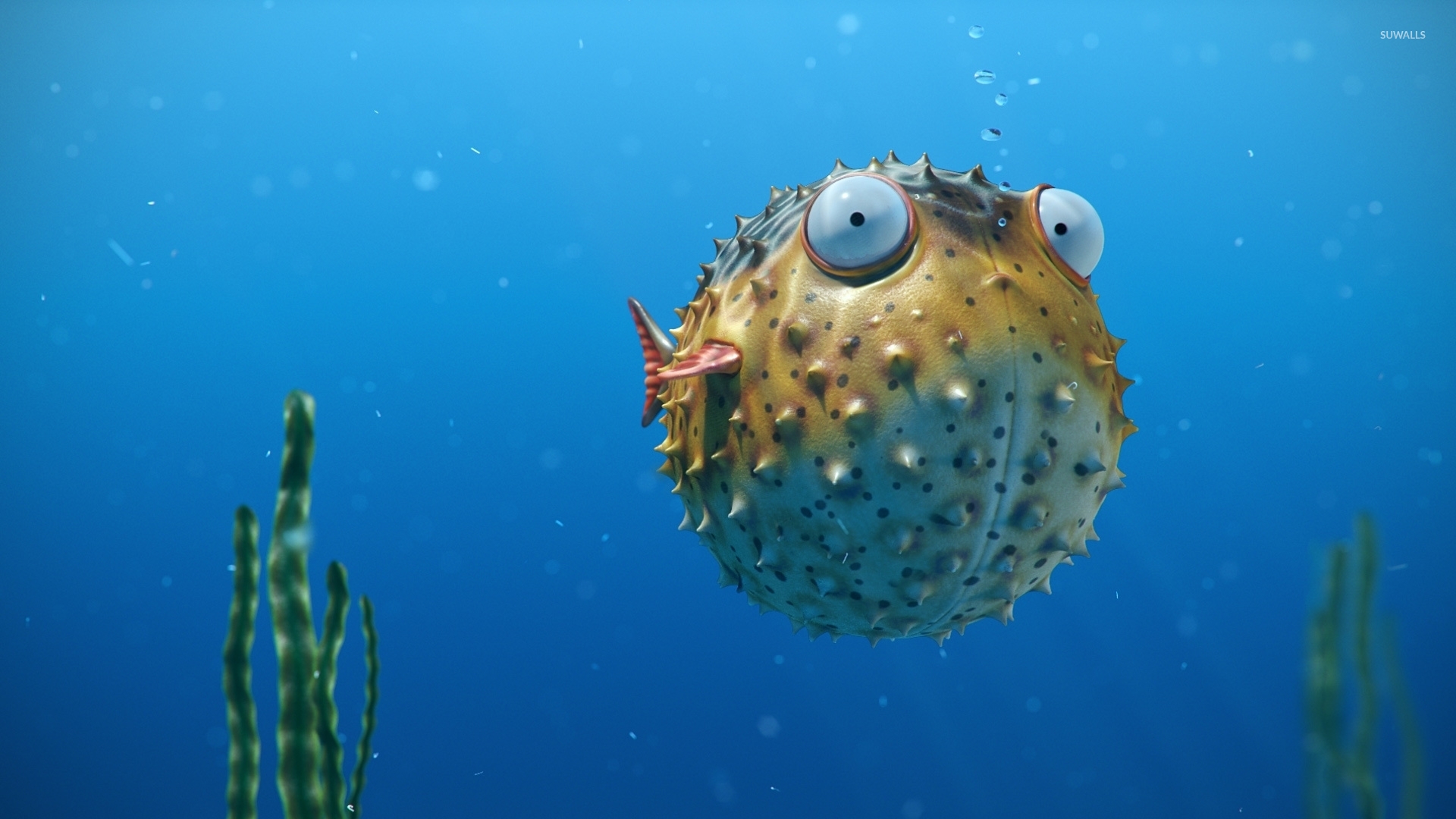 blowfish wallpaper