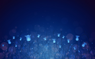 Bluebells coming to life at night wallpaper