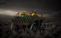 Cart with flowers wallpaper 1920x1200 jpg